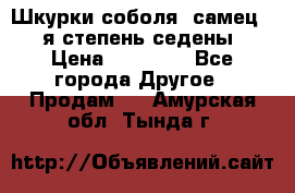 Шкурки соболя (самец) 1-я степень седены › Цена ­ 12 000 - Все города Другое » Продам   . Амурская обл.,Тында г.